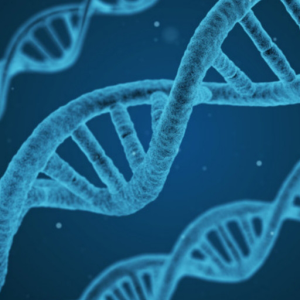 Regeneração celular e restabelecimento da saúde