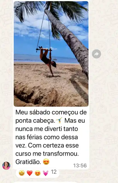 Curso Psicologia Positiva e Inteligência Emocional - print 11