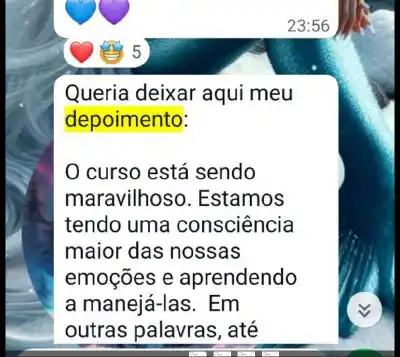 Curso Psicologia Positiva e Inteligência Emocional - print 15