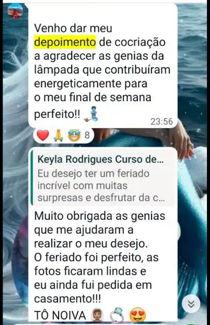 Curso Psicologia Positiva e Inteligência Emocional - print 19