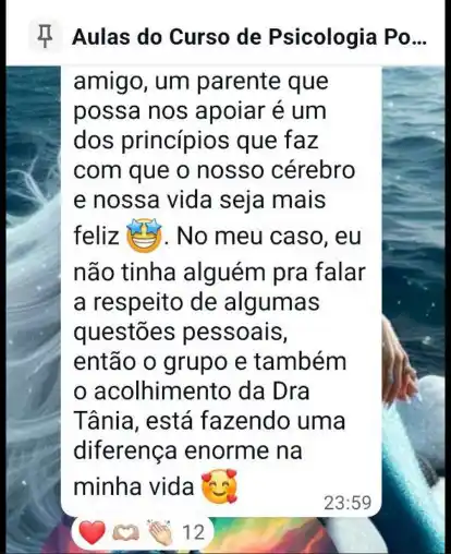Curso Psicologia Positiva e Inteligência Emocional - print 71