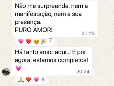 Curso Psicologia Positiva e Inteligência Emocional - print 79