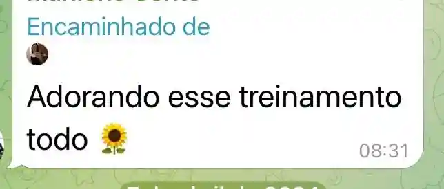 Treinamento em Desenvolvimento Pessoal - print 10