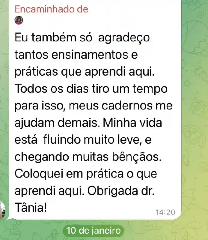 Treinamento em Desenvolvimento Pessoal - print 23