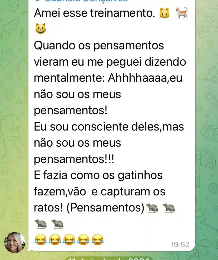 Treinamento em Desenvolvimento Pessoal - print 3